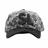 Casquettes de baseball personnalisées en gros d'usine, style streetwear, à 5 panneaux, visière incurvée, broderie 3D, avec logo personnalisé