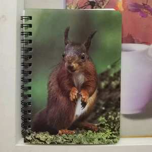 Service personnalisé de carnet à spirales carnet de notes imprimé lenticulaire en 3D pour la promotion - Product Image 3