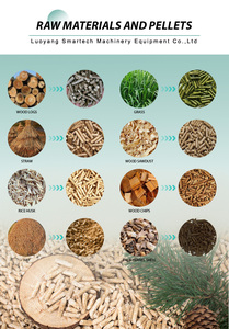 Motore Industriale ad Alta Efficienza per <span class=keywords><strong>la</strong></span> Produzione <span class=keywords><strong>di</strong></span> Pellet <span class=keywords><strong>di</strong></span> Legno <span class=keywords><strong>da</strong></span> Biomassa 55 kW per Segatura, Paglia, Erba e Cotone - Product Image 6