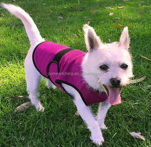 Chaleco refrigerante para perros, chaqueta de refrigeración por evaporación para perros de verano y abrigo de malla, ropa de protección UV ajustable, chaleco de refrigeración para perros - Product Image 3