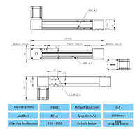Rail linéaire à guidage CNC à entraînement par courroie en aluminium + acier inoxydable à grande vitesse 3 m/s avec moteur et roulement