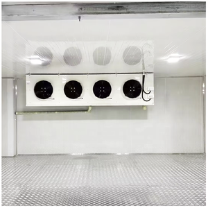 Chambre <span class=keywords><strong>froide</strong></span> automatique pour pommes de terre et oignons avec compresseur Copeland – Solutions écologiques pour la conservation au froid - Product Image 4