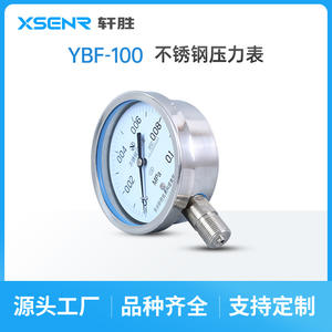Manómetro de Acero Inoxidable Suzhou Xiansheng, 0.1MPa, Conexión Roscada, Modelo YBF100 - Product Image 3
