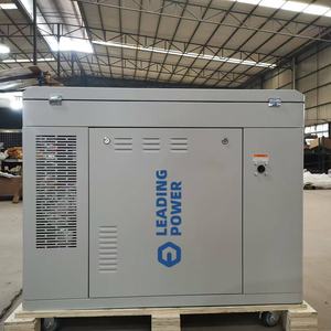 저소음 CNG NG LPG 가스 발전기 5kW 10kW 15kW 단상/삼상 공랭식 저배출 주거용 - Product Image 1