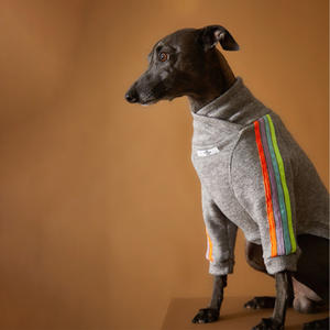 Qiqu pull à col roulé <span class=keywords><strong>teckel</strong></span> personnalisé pour chiens manches à rayures multicolores mignon nouveau maillot de fournitures pour animaux de compagnie - Product Image 5