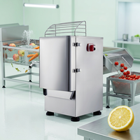 Coupe-légumes électrique commercial en acier inoxydable, trancheuse multifonctionnelle pour fruits, râpe et hachoir pour légumes racineux