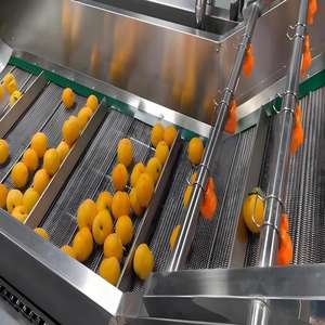 Linea Automatica per il Lavaggio di Frutta e Verdura con Lavorazione Casearia, Smistamento, Ceratura e Classificazione di Arance e Mele - Product Image 3
