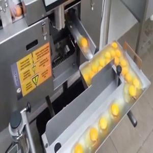 Machine à séparer <span class=keywords><strong>les</strong></span> oeufs et blancs, séparateur <span class=keywords><strong>d</strong></span>'œufs, 5 pièces, JUYOU - Product Image 6