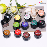 13 Couleurs Cuir Gel Peinture pour Nail Art UVset Soak-Off Glitter Pure Gel pour Ongles Peinture