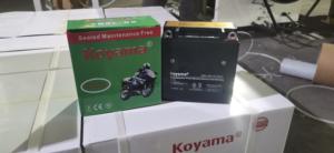 <span class=keywords><strong>Batterie</strong></span> de moto scellée sans entretien 12V5Ah YB5L-BS à chaud de l'Indonésie - Product Image 6