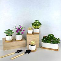 Fabricant OEM ODM de céramique – Pot de fleurs miniature en céramique, pot à succulentes avec plateau en bois, jardinière en céramique pour succulentes – Vente chaude