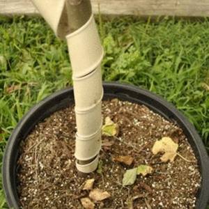 Непромокаемые складные Полипропиленовые Гофрированные Пластиковые ограждения для деревьев, защита для саженцев растений - Product Image 6