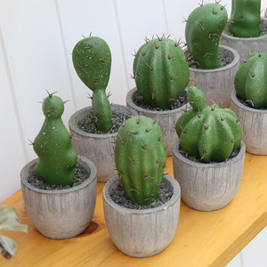 Pianta <span class=keywords><strong>verde</strong></span> piccola pianta decorativa in vaso Mini pianta artificiale succulenta Bonsai ad alta simulazione di plastica <span class=keywords><strong>Cactus</strong></span> palla <span class=keywords><strong>Cactus</strong></span> - Product Image 3