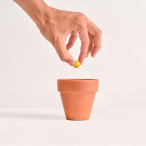 Bombes de graines colorées, gadgets écologiques - Product Image 4