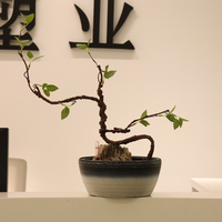 Pot Bunga Plastik PP Ramah Lingkungan Tahan Lama Model 2025NEW, Wadah Lebar untuk Tanaman Sukulen Bonsai Indoor, Sistem Penyiraman Otomatis
