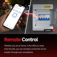 1P+N 63A 110V 220V Ewelink Wifi Smart Switch Pengukur Energi Meter Kwh Pemutus Sirkuit Timer Relay untuk Rumah Pintar