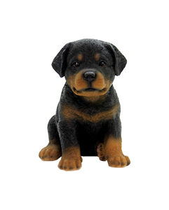 Halloween Best Sellers Dog <strong>Rottweiler</strong> Statue Animal Statue Dog Home Decor Resin Sculpture - Product Image 1