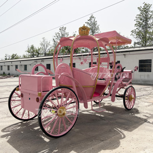 Carruaje Eléctrico Rosa con Forma de Calabaza, con Corona Dorada y Ruedas, para Transporte en Bodas al Aire Libre - Product Image 6