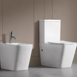 <span class=keywords><strong>Bolina</strong></span>-tazón de cerámica para el baño, accesorio sifón de doble descarga, de una pieza, venta al por mayor de fábrica - Product Image 1