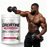 Y45 Campuran Mudah Pemulihan Latihan Dewasa Creatine Monohydrate Elektrolit HMB Kalsium Magnesium Natrium Kalium Blueberry Lemon