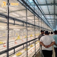 Cage de poulailler automatique en acier galvanisé de type chaîne RETECH pour équipement d'élevage de poulets