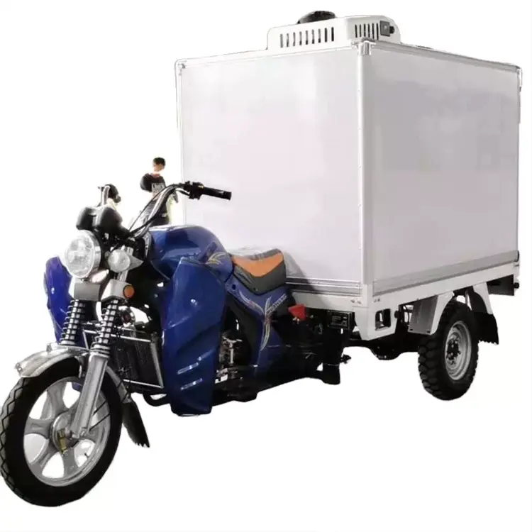 Small Freeze Refrigerated Transportation Cargo Fuel Motorcycle Tricycle, Tricycle Mini Van