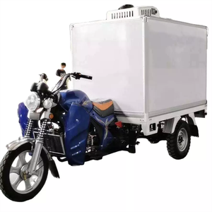 Triciclo Pequeño de Carga Refrigerado para Transporte a Combustible, Mini <span class=keywords><strong>Furgoneta</strong></span> Triciclo - Product Image 1