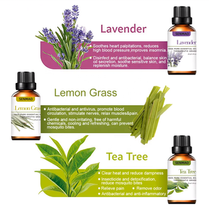 Lot de 6 Huiles Essentielles Pures et Naturelles – Nouveau Coffret Cadeau pour Diffuseur d'Air, Parfum d'Ambiance, Relaxation et Calme (Lavande, Thé, Citronnelle) - Product Image 6