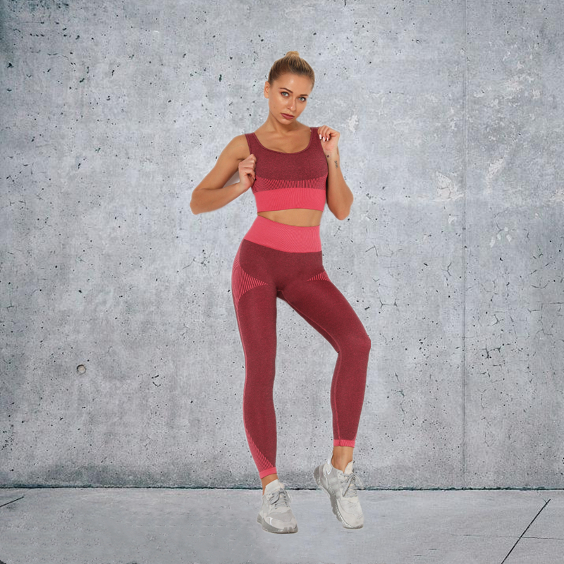 New Fashion Modern Breathable Workout Clothing Women Active Wear  Yoga Pants  BRA  4 colors comfortable