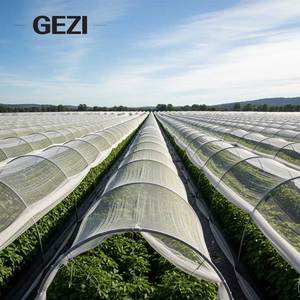 Meilleure solution pour installer une moustiquaire transparente pour couvrir les plantes de tomates dans un tunnel polyvalent - Product Image 6