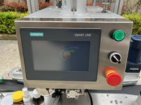 Máquina automática de sellado de tapado giratorio en línea con tornillo de tapa superior de botella de plástico para mascotas para tarros de plástico y taponadora de husillo