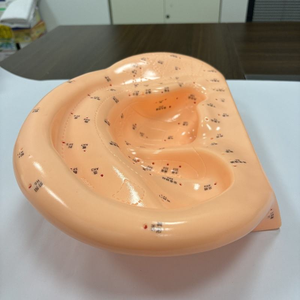 Modèle d'acupuncture auriculaire agrandi de 40 cm avec instructions en anglais – Modèle d'application auriculaire - Product Image 4