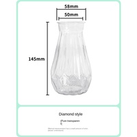 Ornements décoratifs pour la maison Meixuan, modernes, écologiques et créatifs, vase hydroponique transparent en plastique pour table
