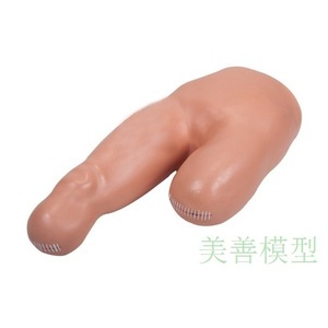 Modèle de bandage de haut niveau pour l'enseignement forensique de la technique de pansement des plaies chez les amputés de la poitrine et des membres supérieurs. Livraison gratuite. - Product Image 1