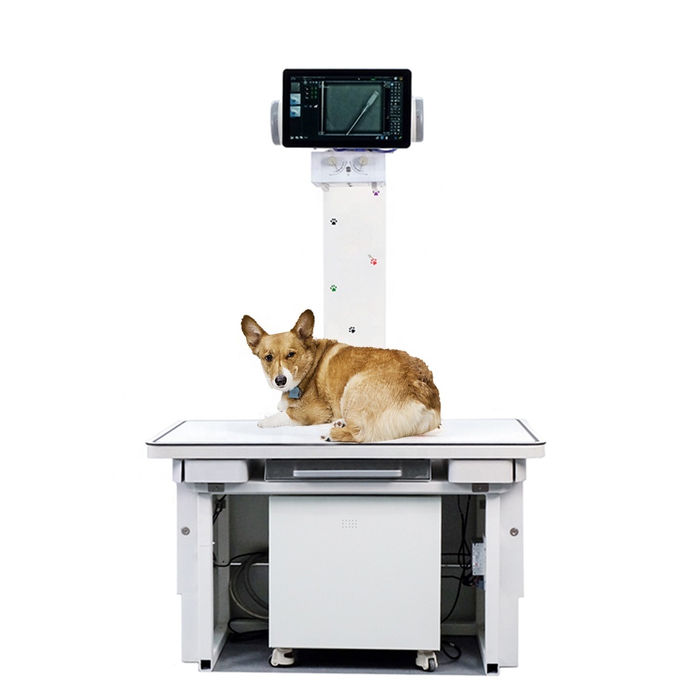 20/32kw x-ray high frequency table DR animal vet veterinary digital x ray machine