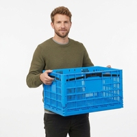 Caisse en plastique perforée empilable de qualité alimentaire, personnalisée, bleue, pour l'agriculture, réutilisable, pour le stockage des fruits et légumes