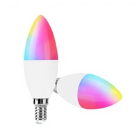 Ampoule LED intelligente certifiée ES pour l'Amérique du Nord, en plastique, avec commande vocale Alexa, RGB-CW, culot E12, pour jardin