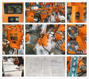 รอกโซ่ไฟฟ้ากันระเบิด ลดราคาพิเศษ มอเตอร์ 3 เฟส <span class=keywords><strong>1</strong></span> ตัน 3 ตัน 5 ตัน 7.5 ตัน 3 เมตร 6 เมตร - Product Image 6