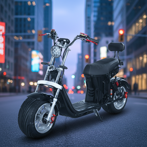 Bici Elettrica 60V 1000W Pronta all'Avventura, <span class=keywords><strong>Motore</strong></span> Anteriore, Rimozione Batteria Senza Attrezzi, Pneumatici Robusti, Doppio Ammortizzatore, 50km/h - Product Image 6