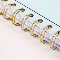 Agenda de Journal personnalisé de haute qualité nouveau design planificateur d'infirmière planificateurs de soins infirmiers en spirale