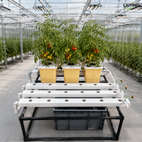 Système complet de seau hollandais hydroponique 10L pour usine de culture de plantes, idéal pour les poivrons, avec siphon, coude et support de culture