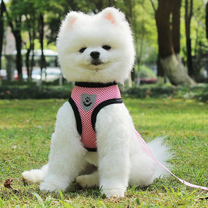 Arnés de malla transpirable para perros y gatos, ajustable y personalizado, chaleco de nailon de tracción para caminar al aire libre - Product Image 3