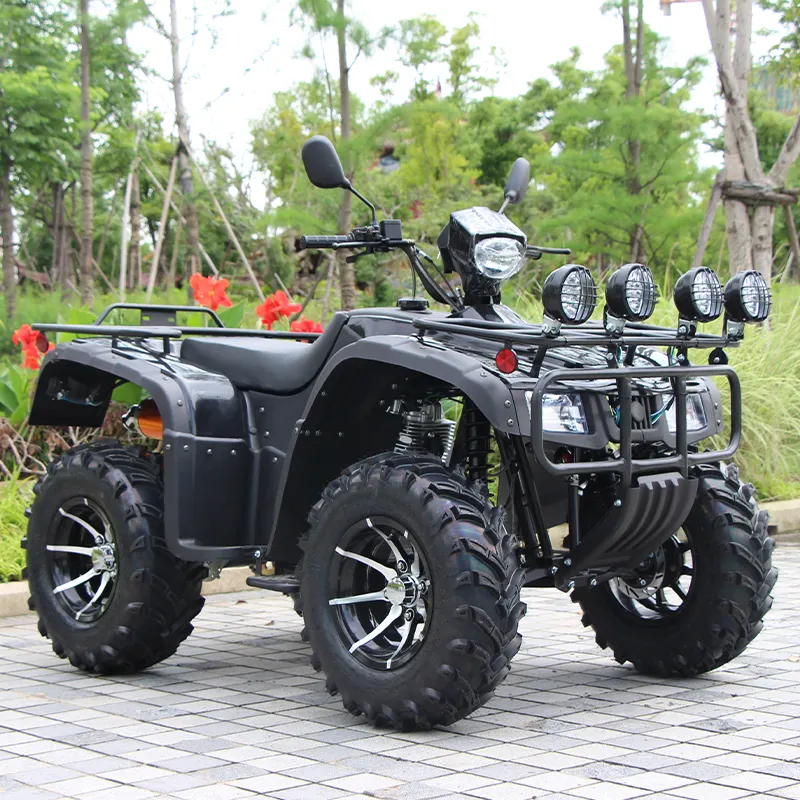 LOGO Kustom OEM Gas 250cc ATV 4X4 Tugas Berat Kapasitas Tinggi Anak-anak Dewasa ATV