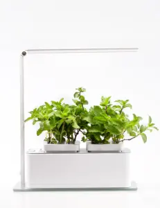 Noel hediyesi ucuz otomatik topraksız bitki büyüme makinesi LED bitki yetiştirme lambaları kapalı Modern tasarım akıllı bahçe ev ofis için