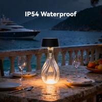 Lampe de table pour bouteille de vin, portable, alimentée par énergie solaire, étanche, pour club, mariage, bar, présentoir de boissons