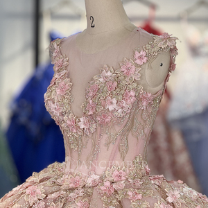 Robe de mariée rose en dentelle perlée, style robe de bal, brodée, avec longue traîne, sans bretelles, Dy1372 - Product Image 2