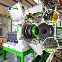 Ligne complète de pelletisation industrielle RICHI pour pailles, riz et coques de tournesol