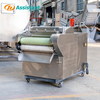 Roestvrijstalen Groente Fruit Snijden Shredding Cutter Machine Motor 220V 1.1KW Hoge Capaciteit 250kg/u Voedselverwerking