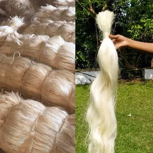 Ruwe Fiber Ug Ssug Sisal Fiber Kunnen Wij Uit China & Brazilië & Tanzania & Kenia & Masagascar & mozambique