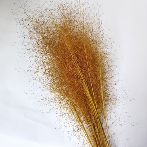 Erba di Muhly Rosa, Fiore Eterno, Fiore Essiccato dello Yunnan, Decorazione Paesaggistica per la Casa, Erba Fatata, Vendita all'Ingrosso dalla Cina - Product Image 4